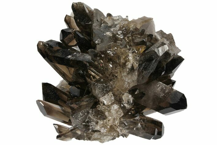 Dark Smoky Quartz Crystal Cluster - Brazil #104088